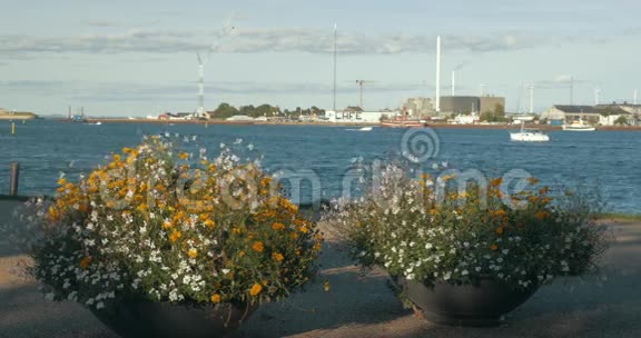 城市港湾从海滨俯瞰视频的预览图