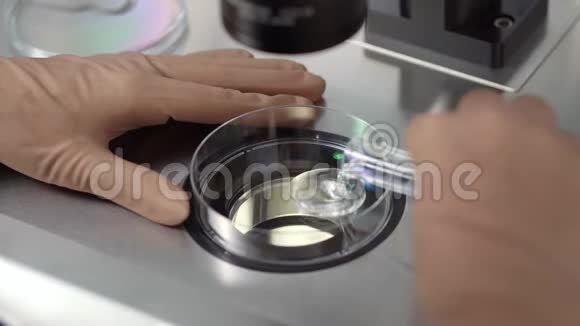 实验室体外受精过程视频的预览图