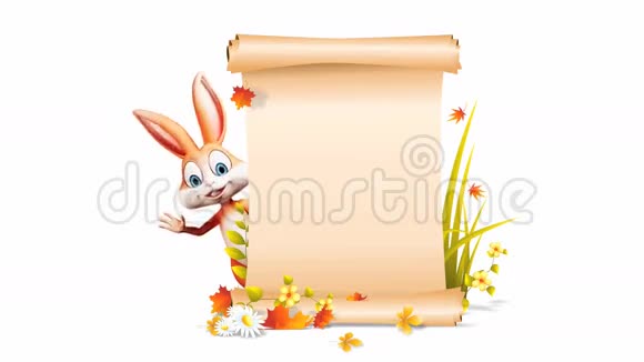 复活节快乐兔子打招呼视频的预览图