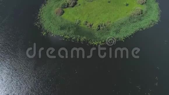 飞越湖泊和草地视频的预览图