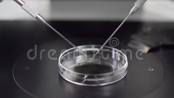 实验室体外受精过程视频的预览图