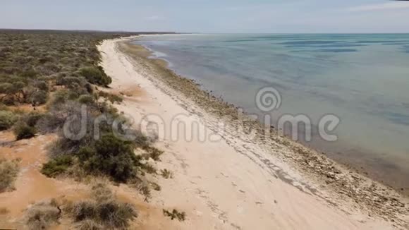 海岸线和海滩拍摄视频的预览图