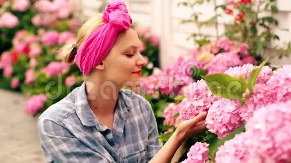 绣球花春天和夏天护花和浇水土壤和肥料温室的花女人呵护鲜花视频的预览图