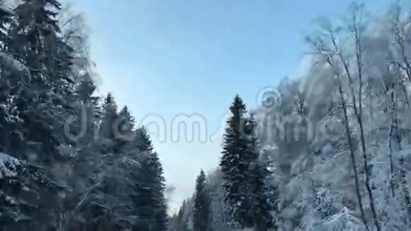 车辆行驶冬季雪林路时从车载摄像头的正面观看视频的预览图