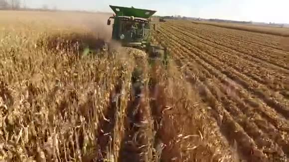 空中无人驾驶飞机4k视野中的大型农业联合卡车机器车辆收获有机小麦作物在农田视频的预览图