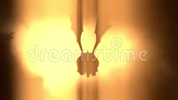 一条龙朝太阳飞去视频的预览图