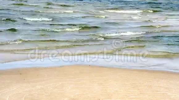 波浪触及沙滩视频的预览图
