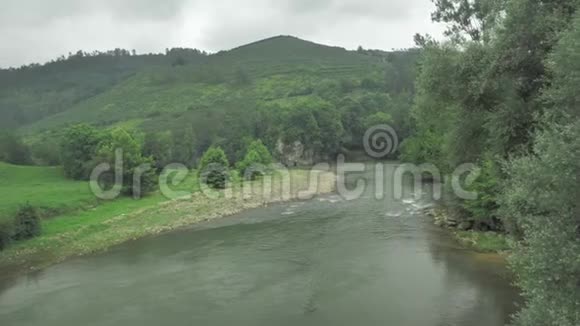4k山河在绿叶林中视频的预览图