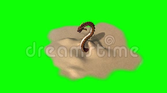 龙虫在沙基上的攻击和死亡绿屏视频的预览图