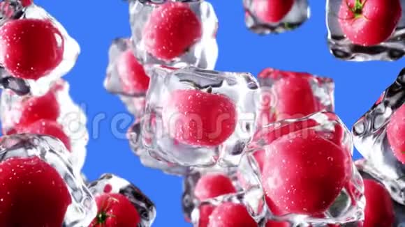 西红柿在冰块中旋转食和广播理念现实的冰材料4K动画片绿色屏幕视频的预览图