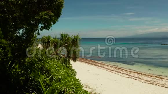 带沙滩的热带岛屿菲律宾曼蒂古岛视频的预览图