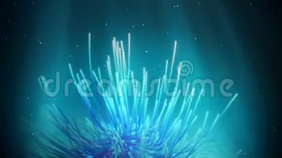 水下羽毛星环视频的预览图