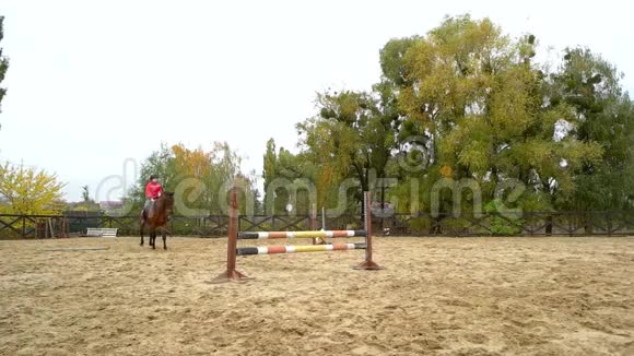 女子骑师训练骑马视频的预览图