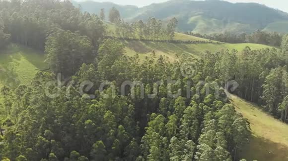 喀拉拉邦印度森林的鸟瞰图视频的预览图