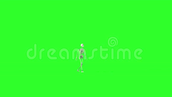 骨架行走动画GI渲染绿色屏幕录像万圣节的概念视频的预览图
