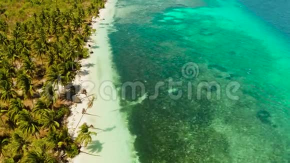 热带海滩有棕榈树和白沙俯视视频的预览图