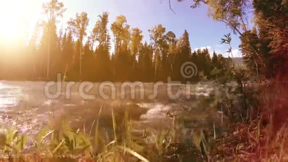 山河岸边的草甸有绿草松树和阳光的景观在机动滑块小车上运动视频的预览图