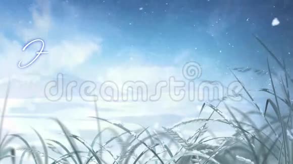 节日快乐霜冻覆盖的冬日视频的预览图