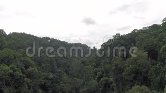 亚洲丛林泰国普吉岛4K无人机射击视频的预览图