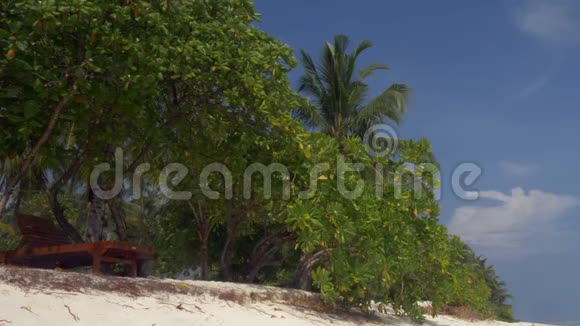 美丽的热带海滩白沙和棕榈树在马尔代夫视频的预览图