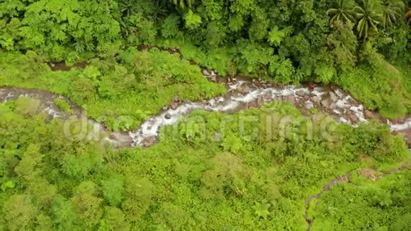 河流在山区丛林中流淌菲律宾卡米吉因视频的预览图