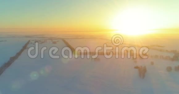 无人驾驶飞机观看寒冷的冬季景观北极的田野覆盖着霜雪的树木和清晨的阳光视频的预览图