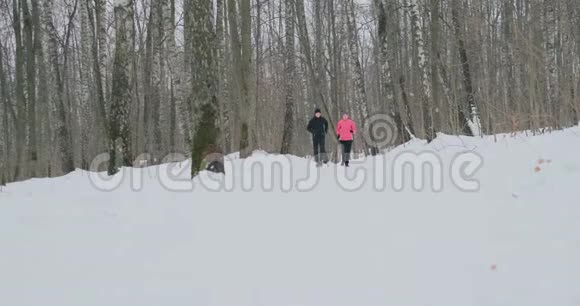 阳光明媚的冬天早晨一对年轻健康的年轻夫妇带着运动服在森林里奔跑视频的预览图