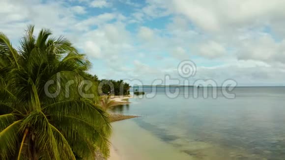 热带海滩棕榈树鸟瞰图视频的预览图