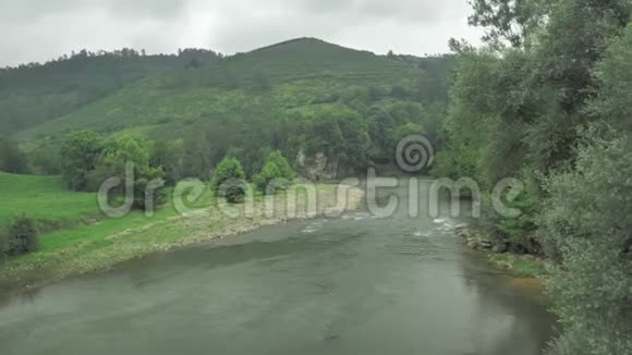 4k山河在绿叶林中视频的预览图