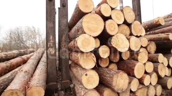 库存木材视频的预览图