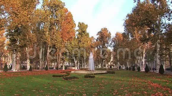 公园里的秋天风景视频的预览图