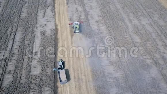夏季收割小麦现代联合收割小麦田间空中景观视频的预览图