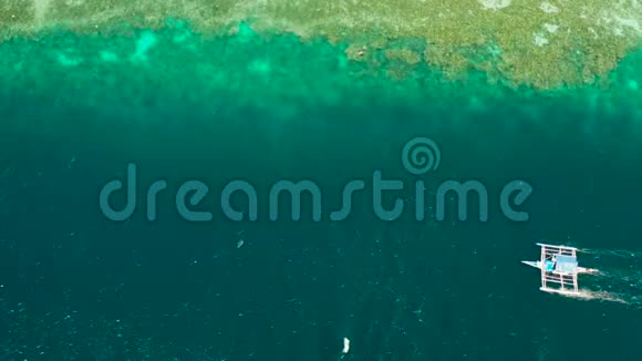 带绿松石水的珊瑚礁菲律宾Moalboal视频的预览图