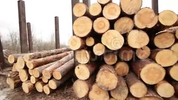 库存木材视频的预览图