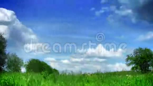 云和草时势视频的预览图