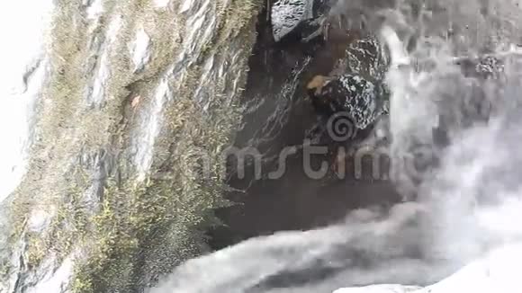 关闭硬岩脊防止在MashFork瀑布营地溪州公园和森林视频的预览图