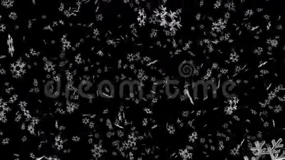 黑色背景下大量雪花飘落视频的预览图
