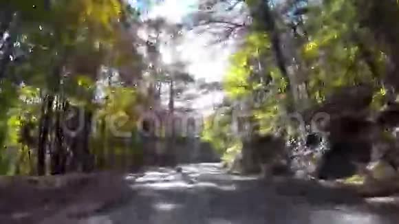 通过混合森林的风景路线GoPro视频的预览图