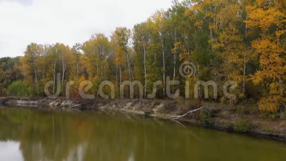 秋天的美丽河流景观鸟瞰视频的预览图