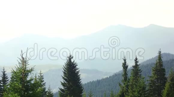 喀尔巴阡山脉夏季全景视频的预览图
