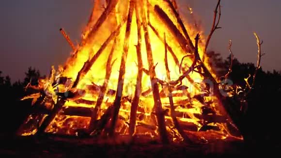 树枝在森林里的夜晚燃烧的大篝火慢动作视频的预览图