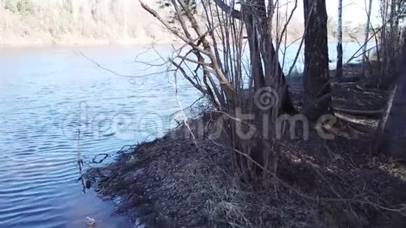 在德维纳河和采石场之间视频的预览图