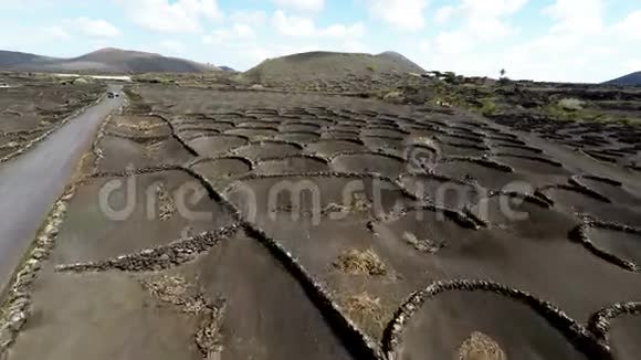 加那利群岛兰萨罗特黑火山土壤上LaGeria葡萄园的空中录像视频的预览图