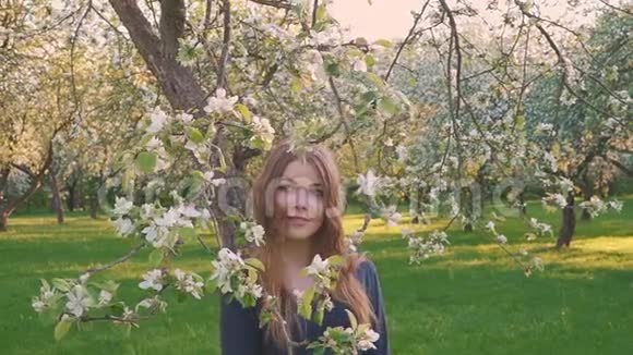 年轻快乐的女人走在苹果园里的春天花白了一位美女的肖像视频的预览图