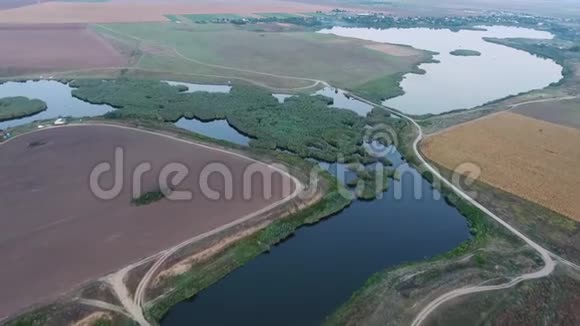 空中无人机在湖和田野的视野视频的预览图