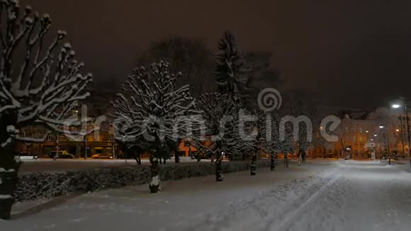 城市里的冬天晚上在公园4UHDK视频的预览图