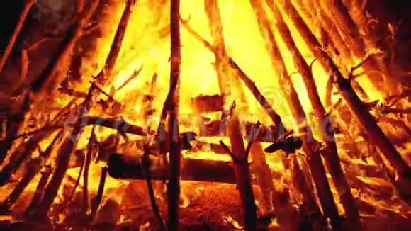 森林里的圆木在夜里燃烧着大篝火慢动作视频的预览图