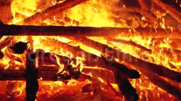 大篝火的原木燃烧在森林的夜晚慢动作视频的预览图