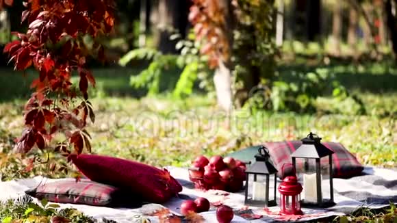 秋天温暖的日子印度夏季在花园里野餐毯子和枕头的灰色勃艮第和绿色的背景视频的预览图