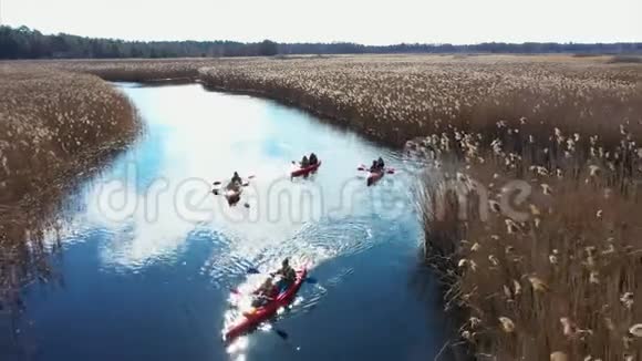 一群人在秋天河上的芦苇丛中划着皮艇视频的预览图